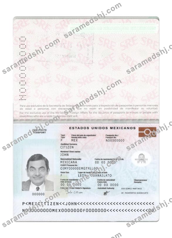 Mexico passport new 2022-present